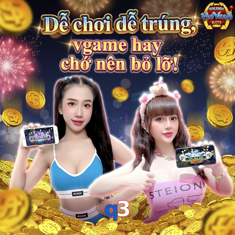 q3