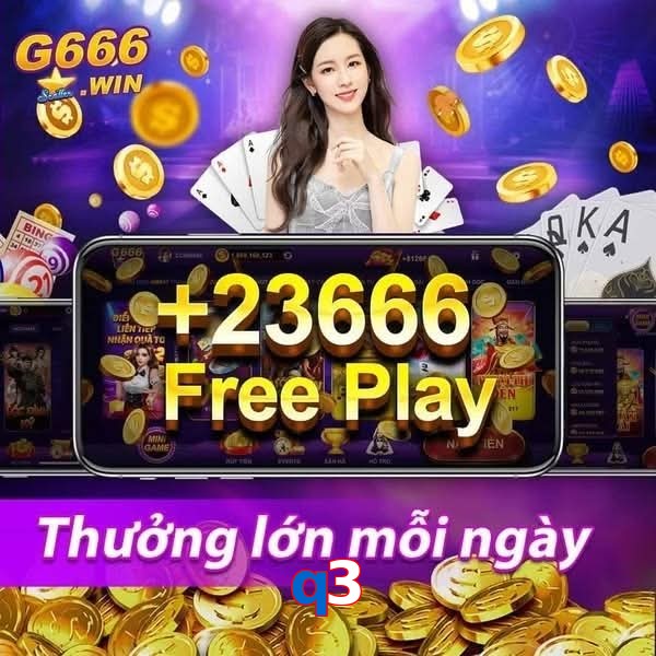 q3