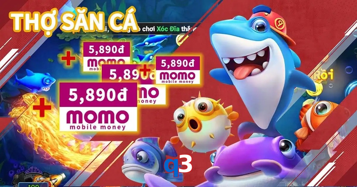 q3